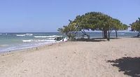 Beach of the Hotel BLACK BEARDS ADULT RESORT - Puerto Plata - Dominican Republic